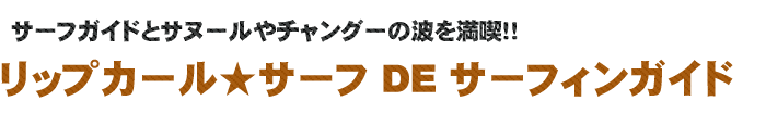 リップカールでサーフィンガイド