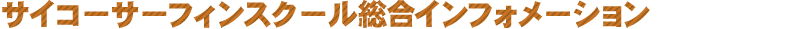 サイコ‐サーフ　インフォメーション