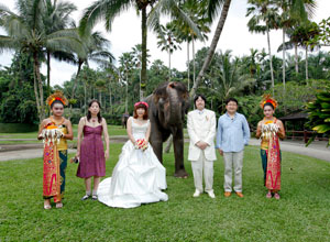 バリウェディングPW-08 3