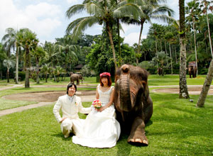 バリウェディングPW-08 4