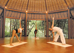 ヨガ & ヘルシーミール