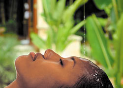 ヨガ & シロダーラ & ヘルシーミール