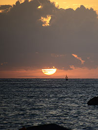 トリートメント