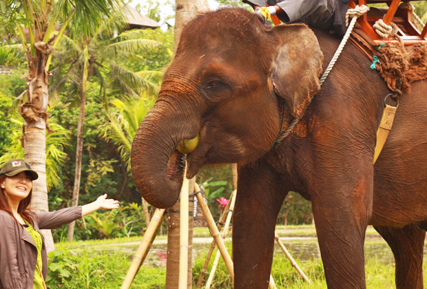 カーチャーター当日オプション アクティビティ