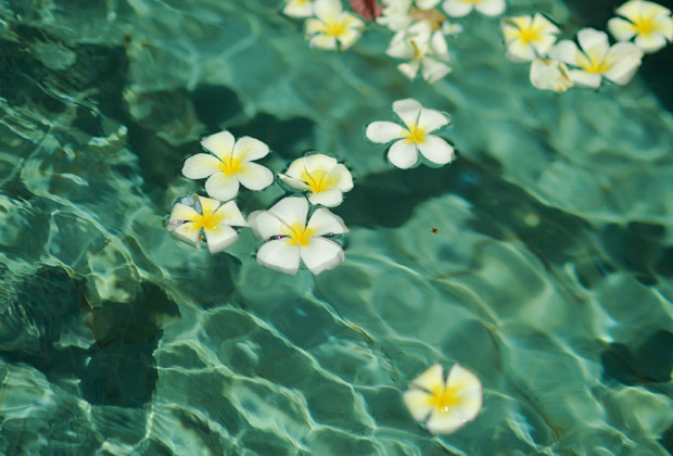 カーチャーター当日オプション ご利用方法