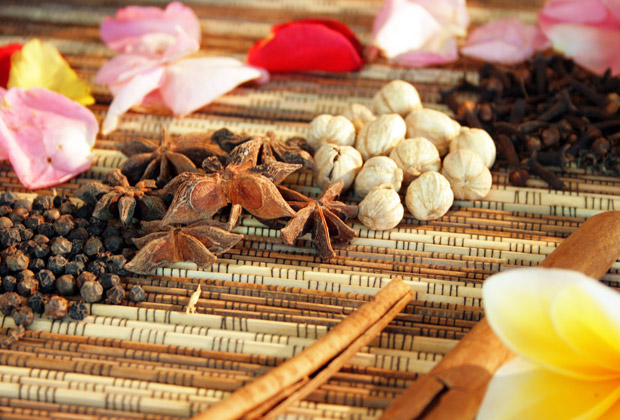 アクティビティ当日オプション スパ