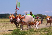 A-1エリア（ヌガラ・西部）