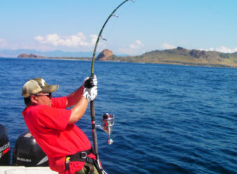 スポーツ・フィッシング