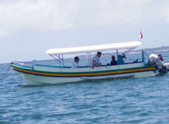 グラスボトムボート