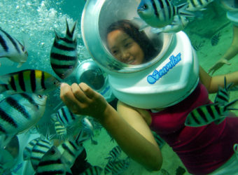 シーウォーカー