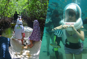 マングローブ林とお魚とサンゴ礁の世界を海中散歩「マリンウォーク・海中写真1枚付き」ツアー