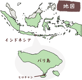 インドネシアの地図