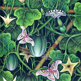 プンゴセカン・スタイル2