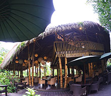 ファイブエレメンツ