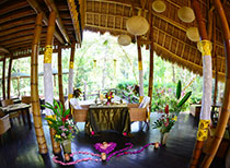 ファイブエレメンツ1