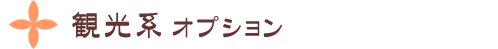 観光系オプション