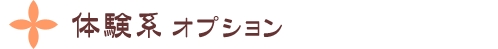 文化体験系オプション