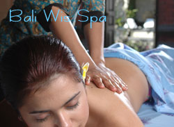 バリウィススパ１