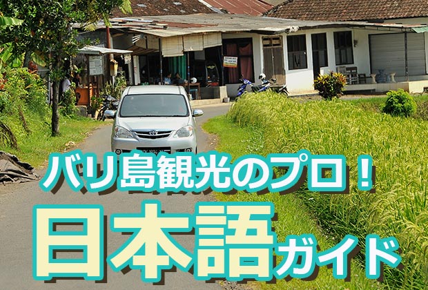 バリ島 観光わくわくのバリ島観光の日本語ガイドについて